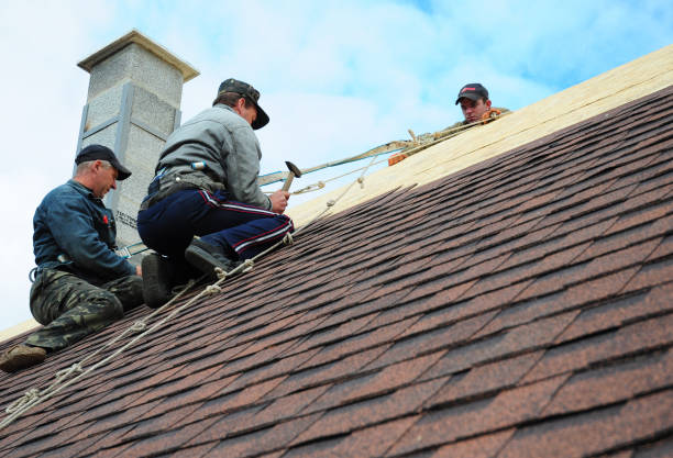 Best Storm Damage Roof Repair  in Midlothian, IL